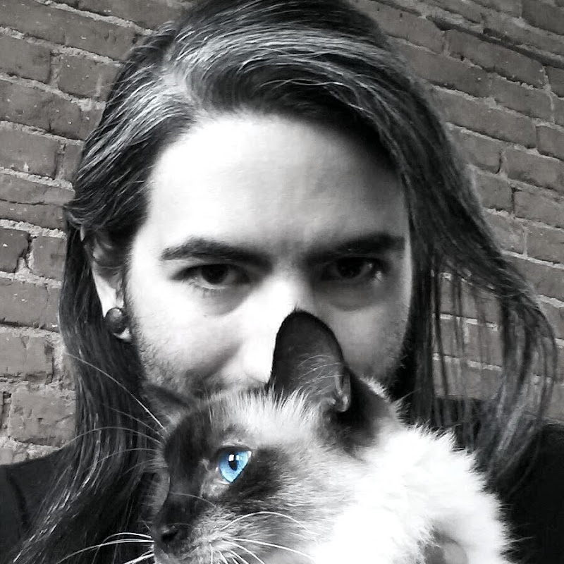 wolfCat workshop Logo