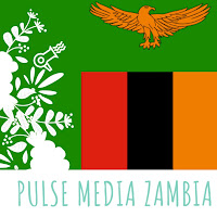 Pulse Media Zambia profile image