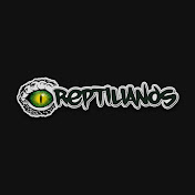 Reptilianos rock and roll oficial