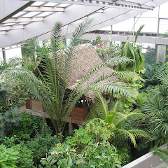 板橋区立熱帯環境植物館