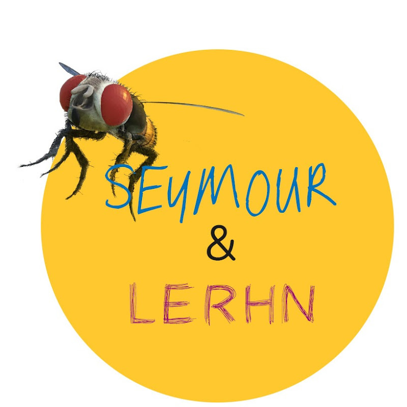 Seymour & Lerhn
