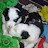 @kelliesheepadoodle1344
