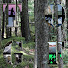 n_Kxm-w_XkI-channel-avatar-The Off Grid Family