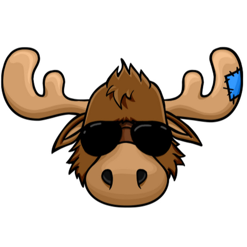 Moosafur13