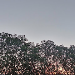 Nassima Shimda