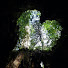 0FCvzGVUMeg-channel-avatar-Piron