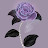 Avatar de @grimrose0