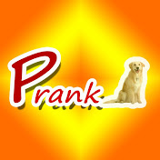 Prank Animals