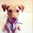 youtube avatar