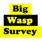 Big Wasp Survey logo