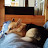 @Poshpanda-09 Avatar