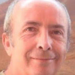 Jose M Requena