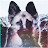 @freihy's avatar