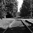 OkxElqZ6CGU-channel-avatar-ChromeMagnum