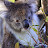@gregwaugh8069 Avatar