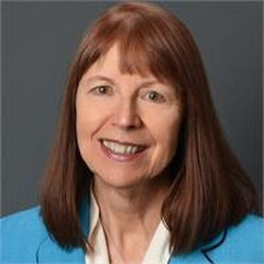 Diana Sullivan net worth