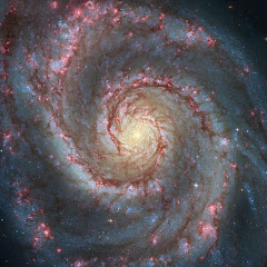 tom looアイコン画像