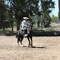 kitralco3quitralco183