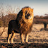g8bZyKo0HIA-channel-avatar-Tha hunter Boys