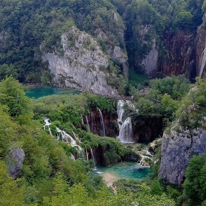 虬人講故事 Beardman Tells Story Logo