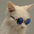 B0TXA1M-zPs-channel-avatar-ed
