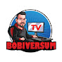 Bobfrieth Zockt / BobiversumTV