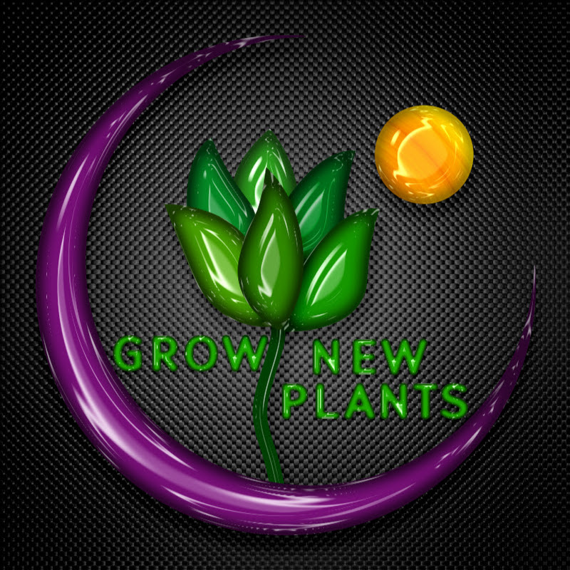 Grow New Plants