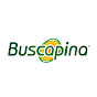 Buscapina