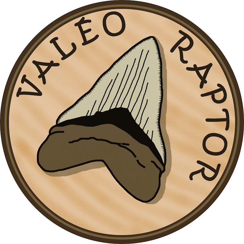 Valéoraptor