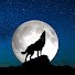 6r6_gtZb0ag-channel-avatar-Wolf