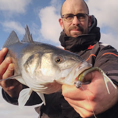 Natural bar Fishing
