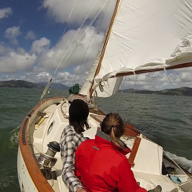 sailingradmode9473