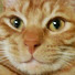 VhUdMYI5PAM-channel-avatar-artcm555