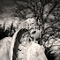 ftW2Obqt_go-channel-avatar-wishfulwhispers88