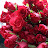 @35Sj-r8p