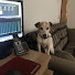 wXFSMKU4xYc-channel-avatar-Dirk de Regt