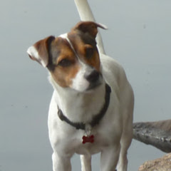 Ontario Lakeside on YouTube