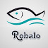 jA5Ic0Wh3p0-channel-avatar-Robalo