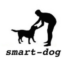 犬のしつけsmart-dog net worth