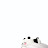 @user-mv5vt6zc9x