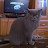 @piotrchruscinski3550's avatar