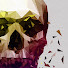 S8EFWCdn6Ns-channel-avatar-Quasimo