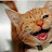 @000gjb's avatar