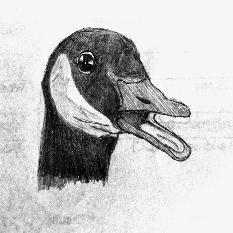 Facetious Goose