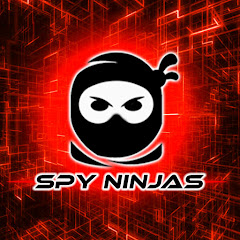 Spy Ninjas