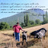 0CfU0oreVs8-channel-avatar-Giuseppe Fausti
