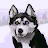 @alanfunny1244 Avatar