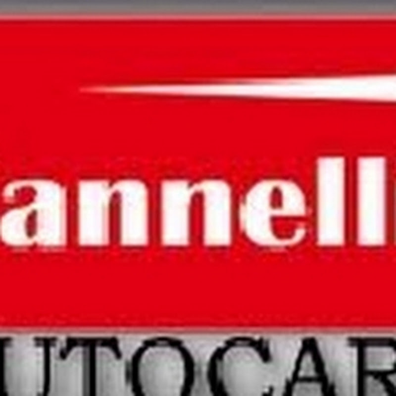 IannelliAutocars