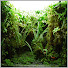 p0ZGu47I8wc-channel-avatar-Terrarium-Construction.com