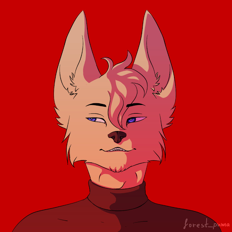Forest Puma